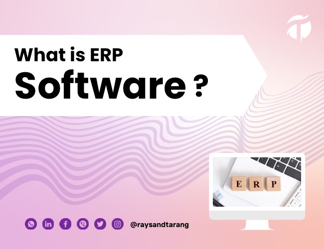 What is ERP Software